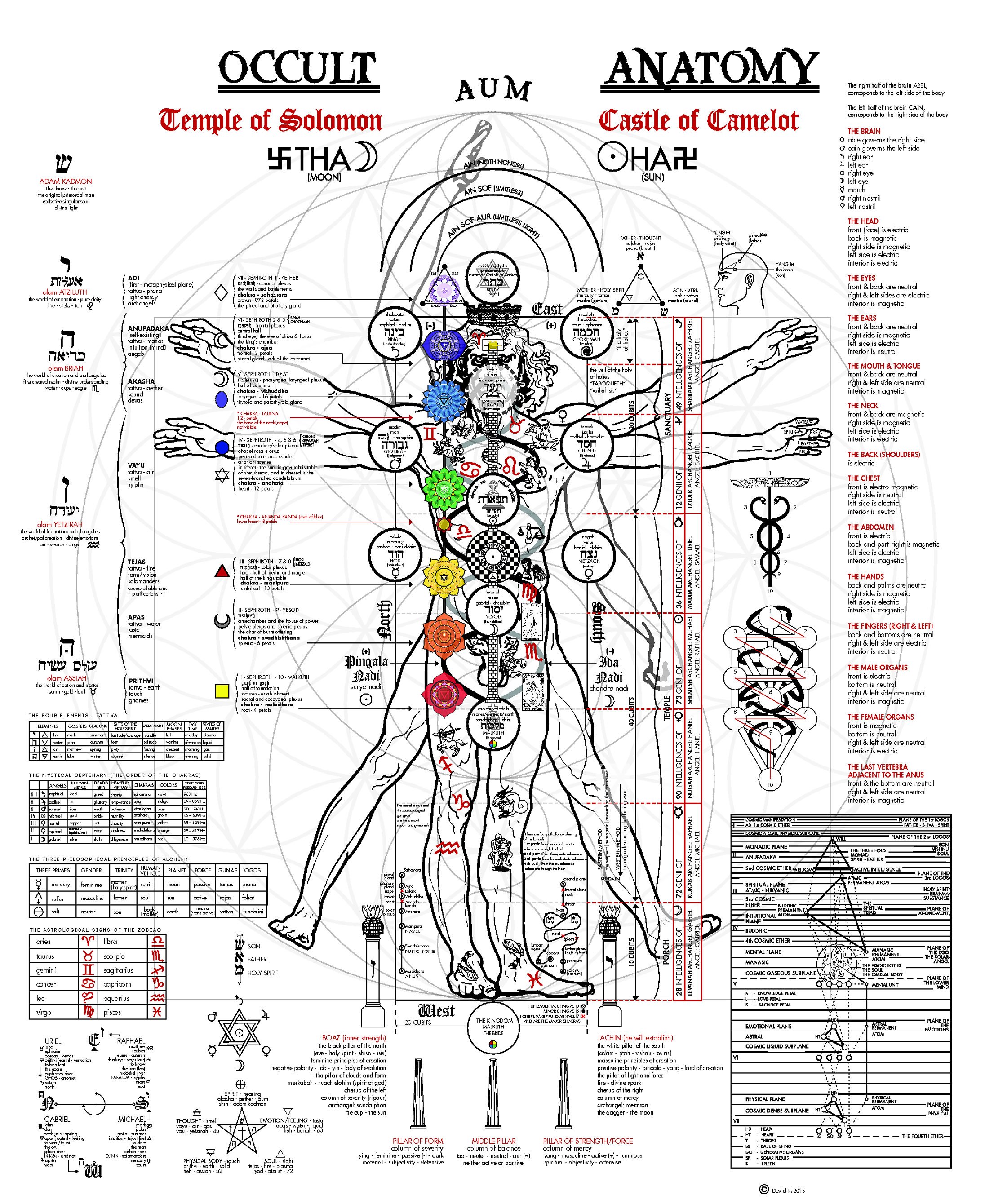 occulkt torrents pdf