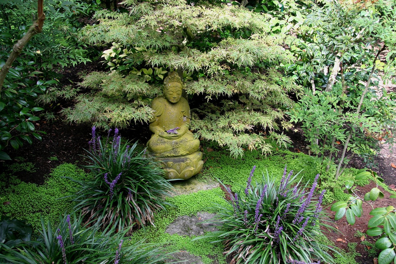 lotusland_4