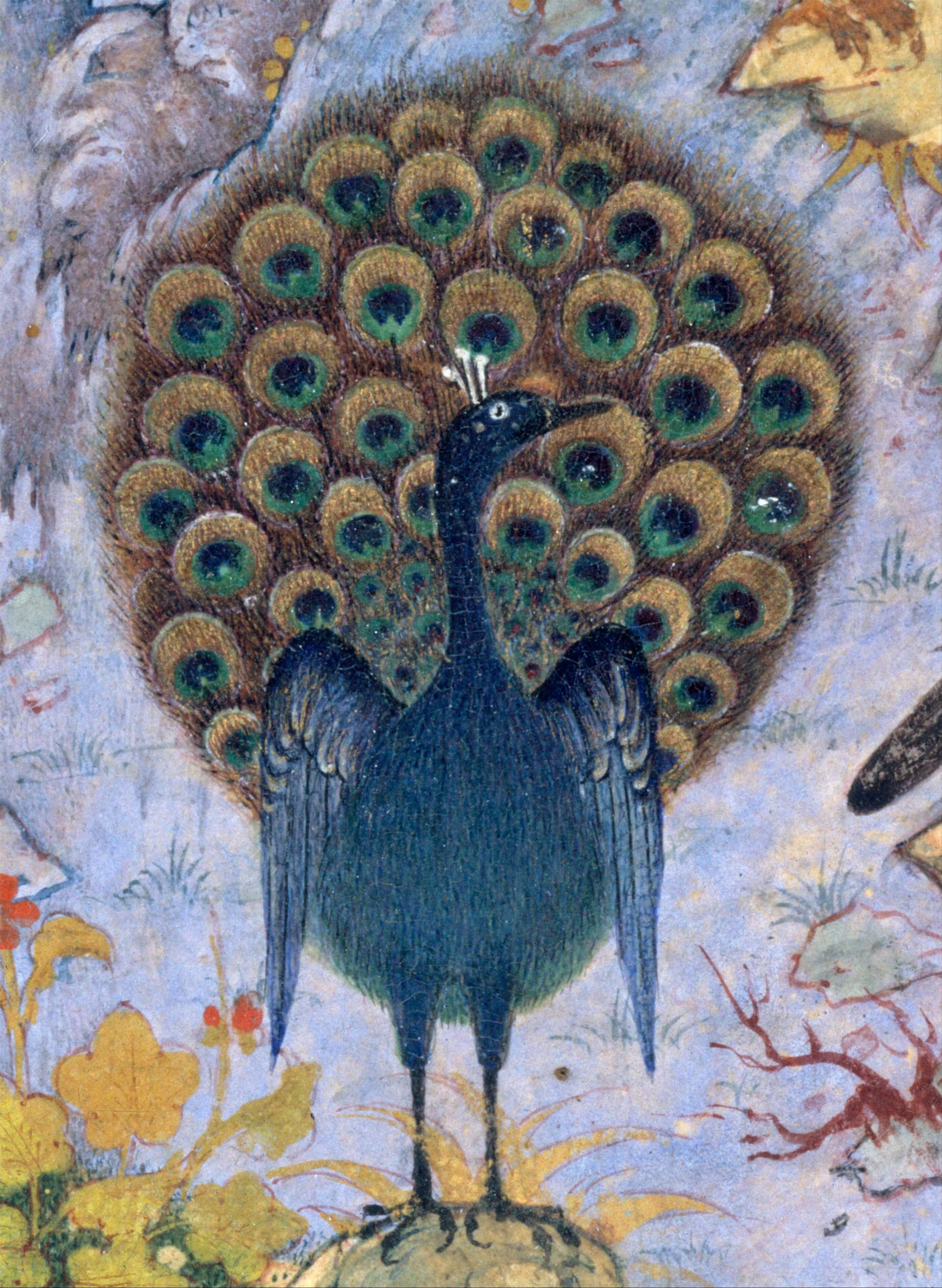 pajaros-4