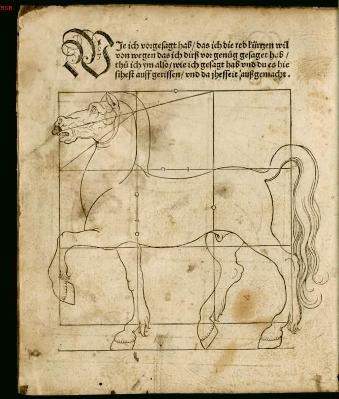 caballo2