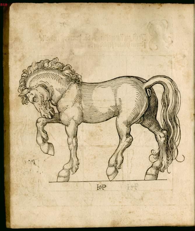 caballo3